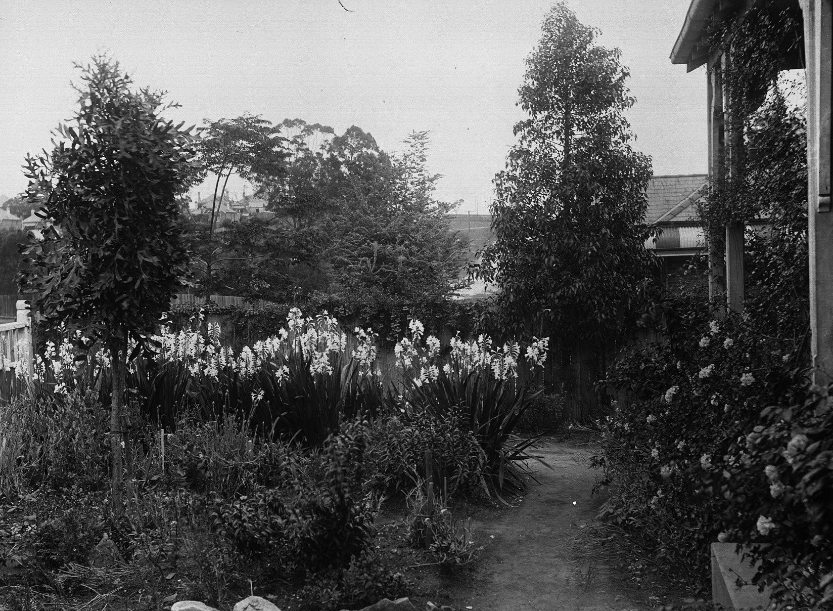 Side garden at Kioto, Waverley, around 1912 / Ann Marie Parnell, photographer