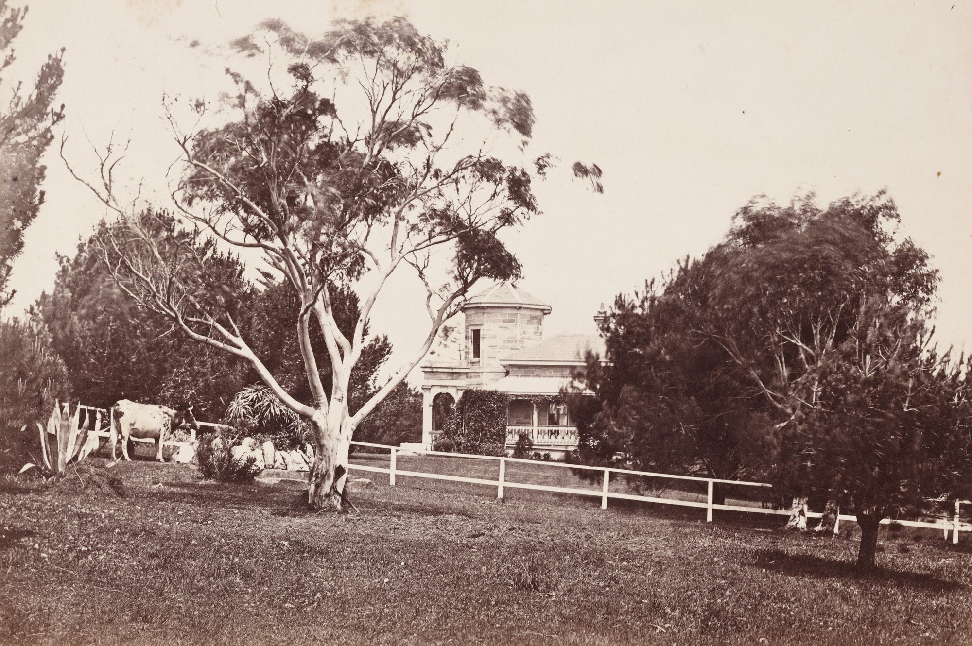 View of Claremont, Rose Bay, home of the Thorne family, ca.1878 / photographer unknown