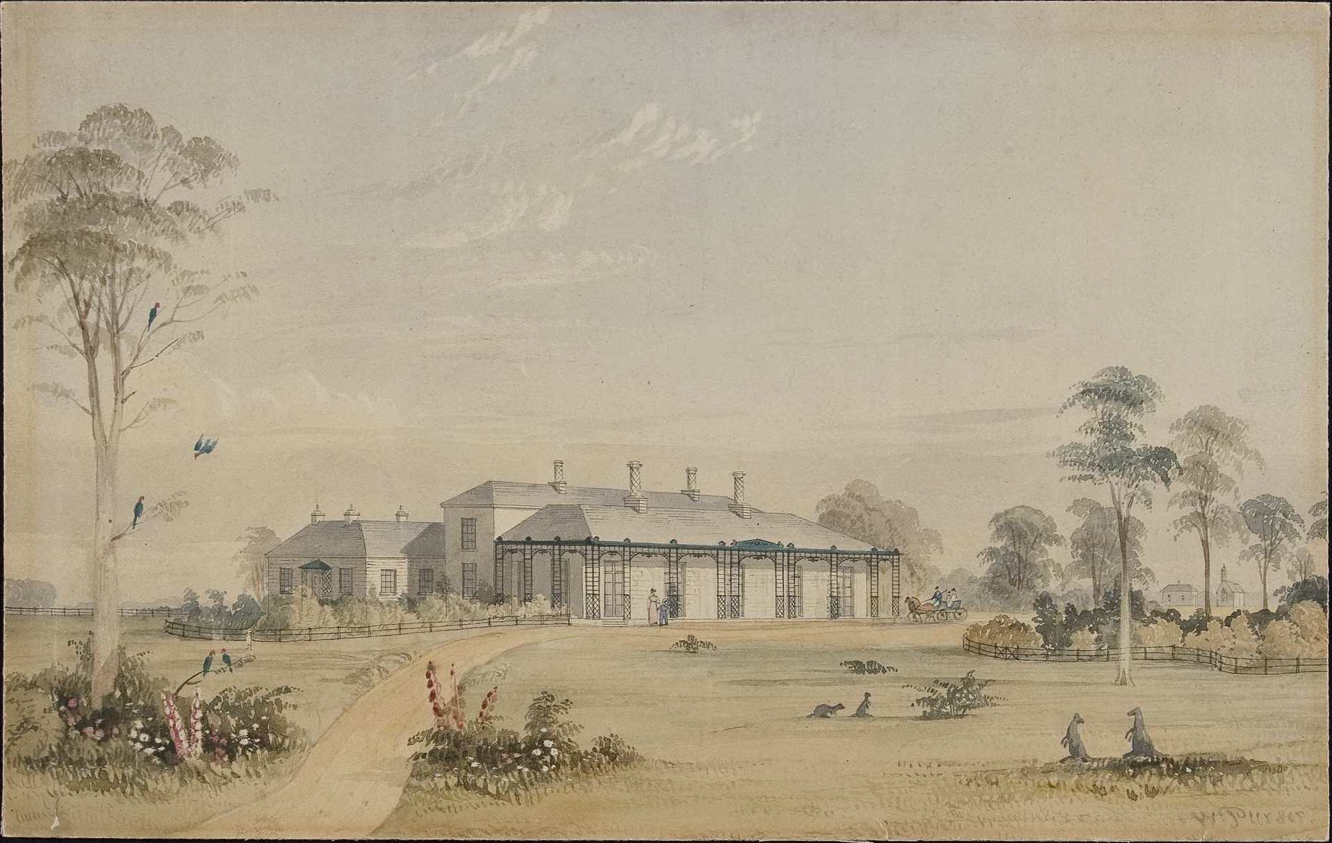 [Highfield, Circular Head, Stanley, Tasmania, residence for Edward Curr, first manager of the Van Diemen's Land Company] / William Purser