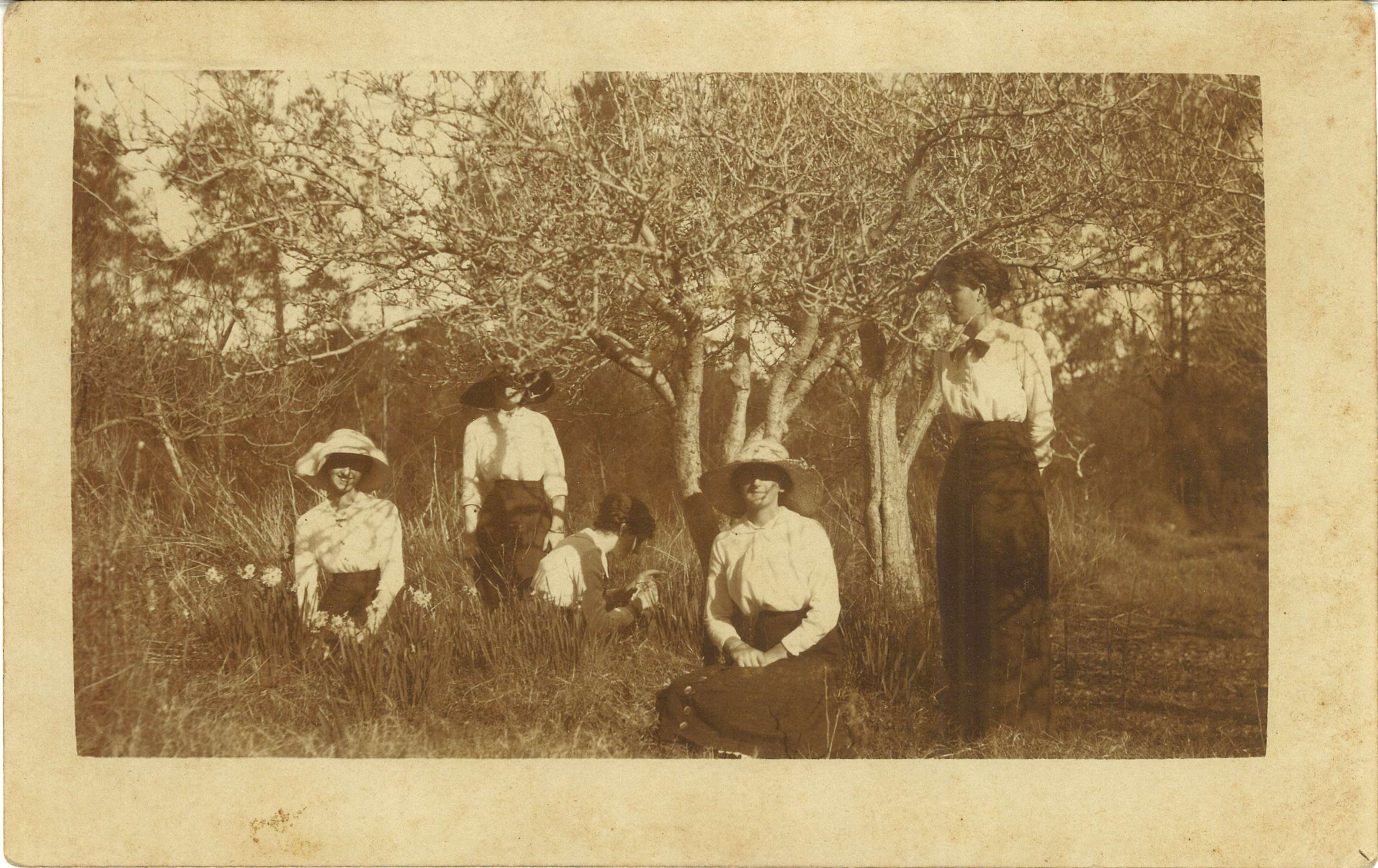 The Nicolle sisters at Lake Illawarra, around 1916 / Robert Barnet
