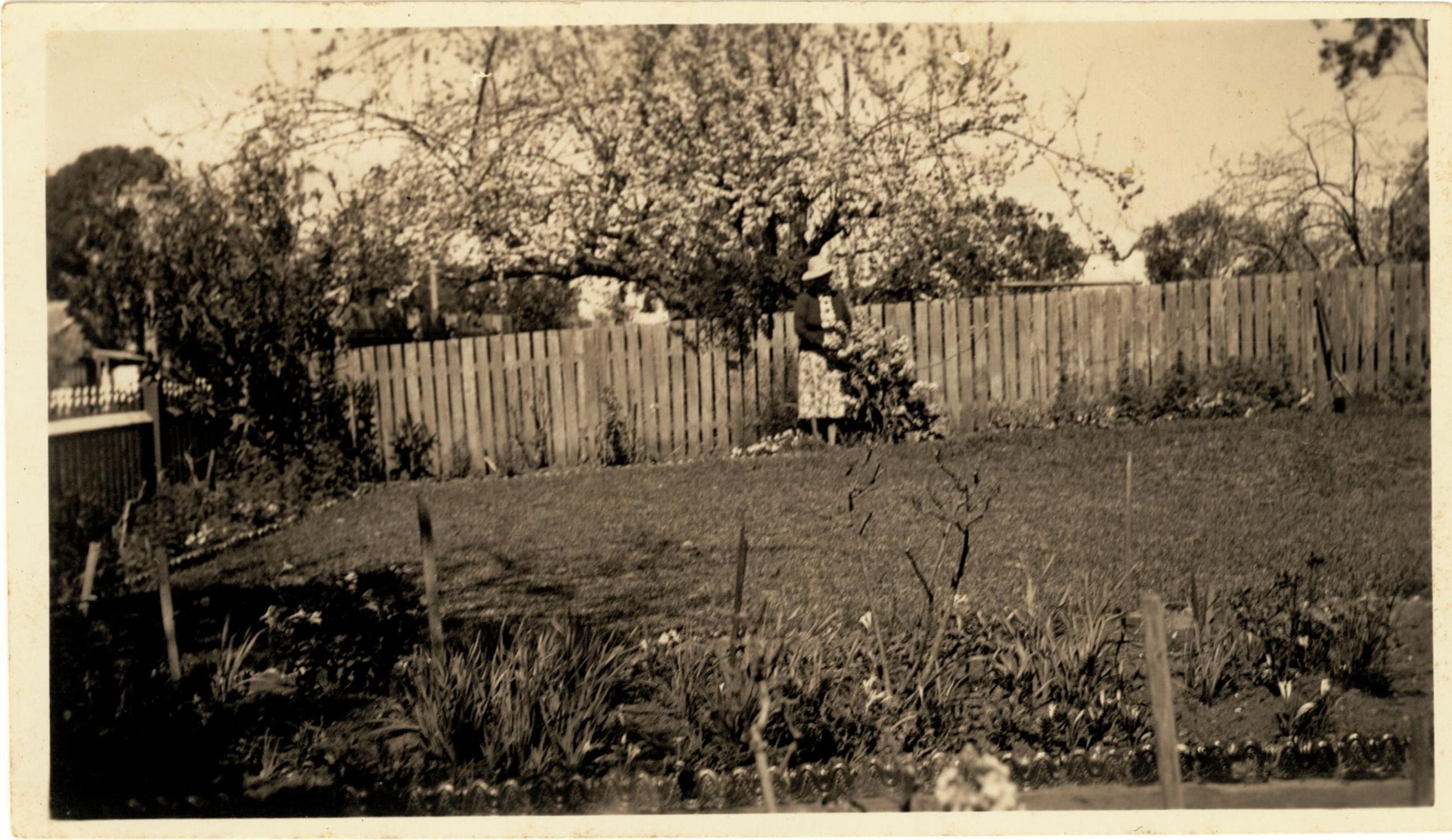 Helen Macgregor in the front of the orchard fence at Meroogal, Nowra, around 1930 / photographer unknown